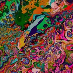 Meet your Posher, Katelyn